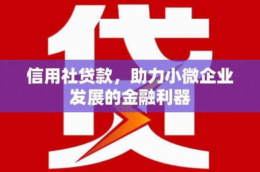 利津信用社贷款，助力小微企业发展的金融利器