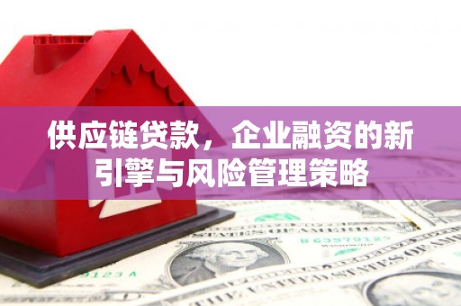 利津供应链贷款，企业融资的新引擎与风险管理策略