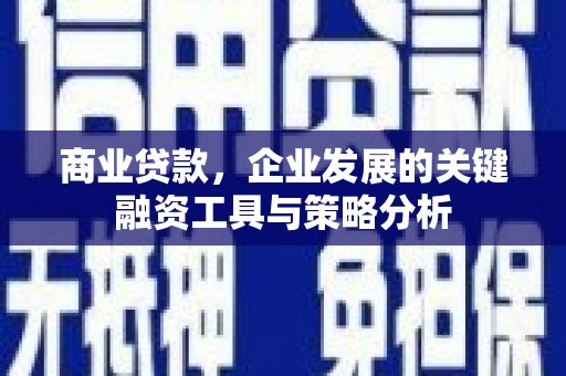 利津商业贷款，企业发展的关键融资工具与策略分析
