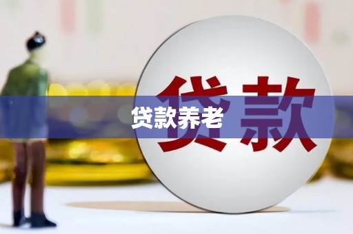 利津贷款养老