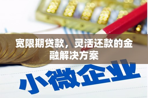 利津宽限期贷款，灵活还款的金融解决方案