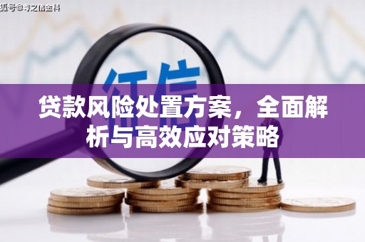利津贷款风险处置方案，全面解析与高效应对策略