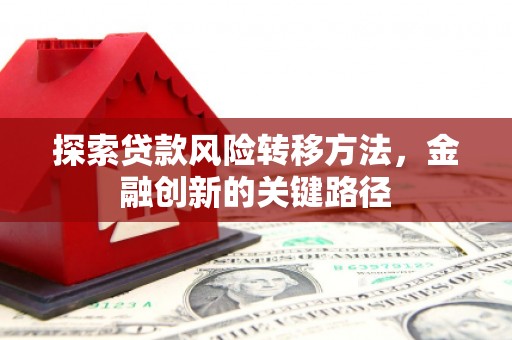 利津探索贷款风险转移方法，金融创新的关键路径