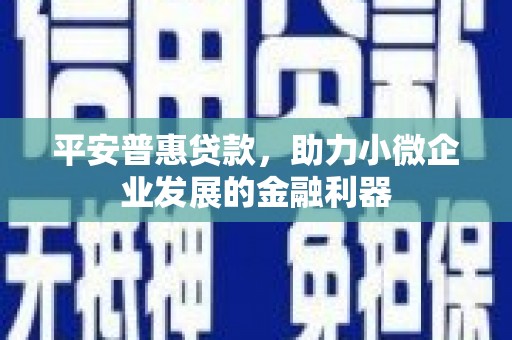利津平安普惠贷款，助力小微企业发展的金融利器