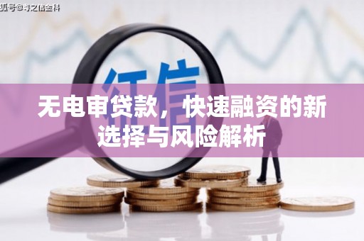 利津无电审贷款，快速融资的新选择与风险解析