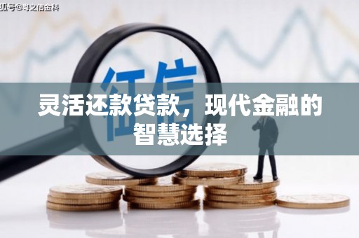 利津灵活还款贷款，现代金融的智慧选择