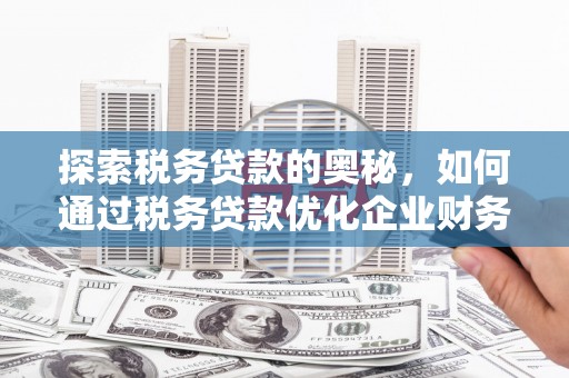 利津探索税务贷款的奥秘，如何通过税务贷款优化企业财务