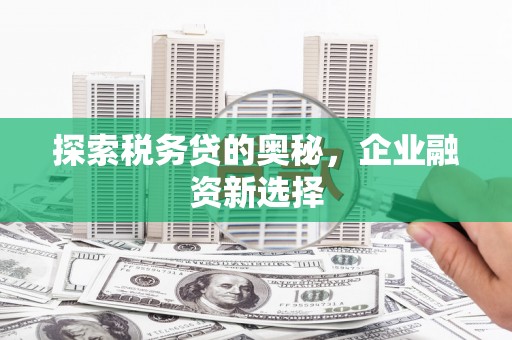 利津探索税务贷的奥秘，企业融资新选择