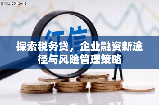 利津探索税务贷，企业融资新途径与风险管理策略