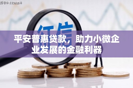 利津平安普惠贷款，助力小微企业发展的金融利器
