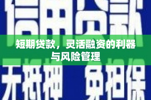 利津短期贷款，灵活融资的利器与风险管理