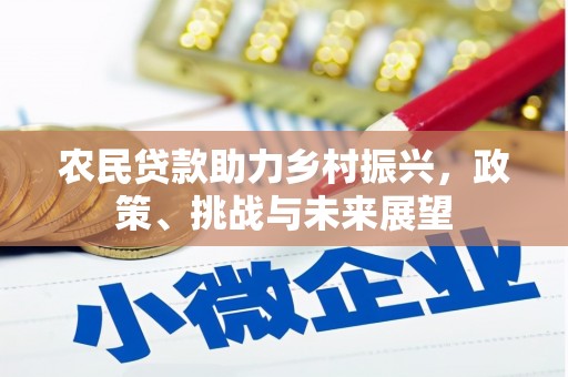 利津农民贷款助力乡村振兴，政策、挑战与未来展望