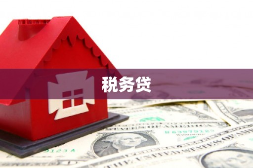 利津税务贷