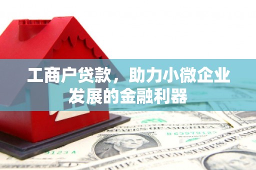 利津工商户贷款，助力小微企业发展的金融利器
