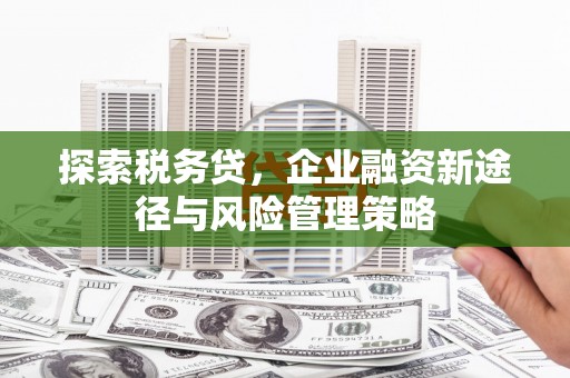 利津探索税务贷，企业融资新途径与风险管理策略