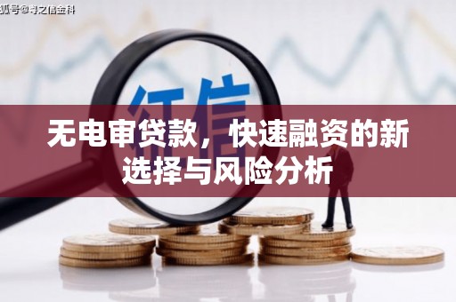 利津无电审贷款，快速融资的新选择与风险分析