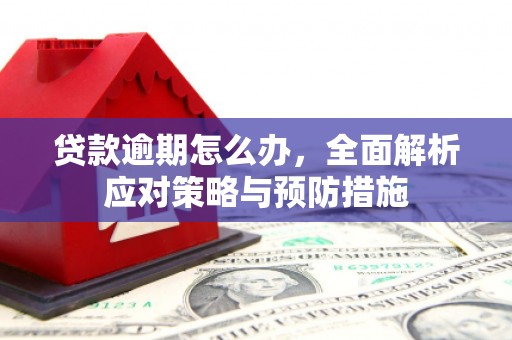 利津贷款逾期怎么办，全面解析应对策略与预防措施