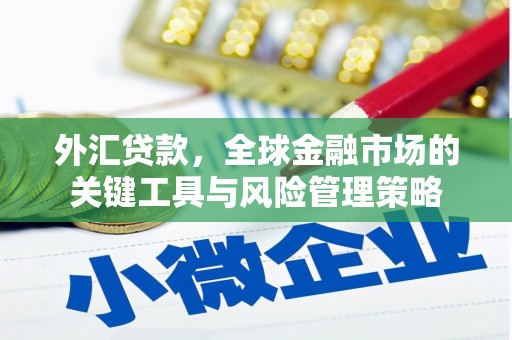 利津外汇贷款，全球金融市场的关键工具与风险管理策略