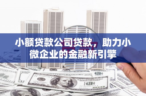 利津小额贷款公司贷款，助力小微企业的金融新引擎
