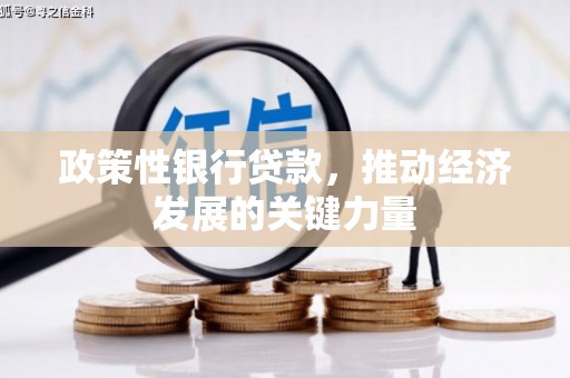 利津政策性银行贷款，推动经济发展的关键力量