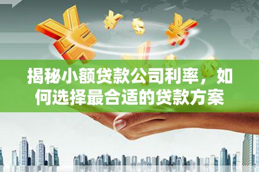利津揭秘小额贷款公司利率，如何选择最合适的贷款方案