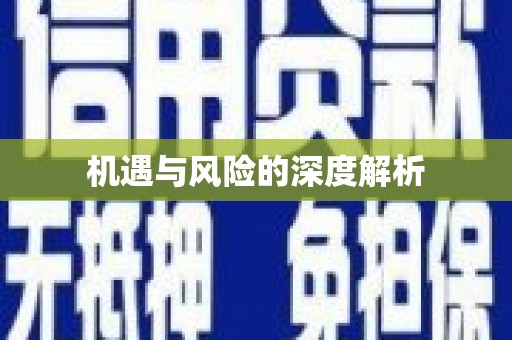 利津机遇与风险的深度解析