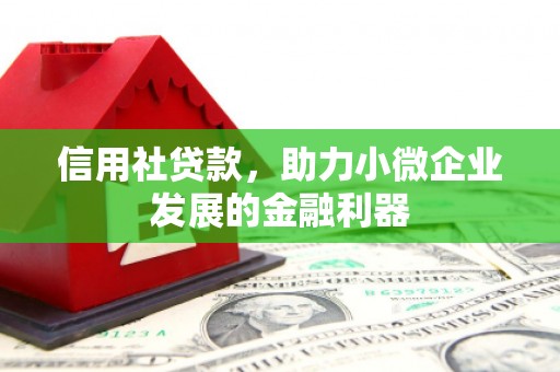 利津信用社贷款，助力小微企业发展的金融利器
