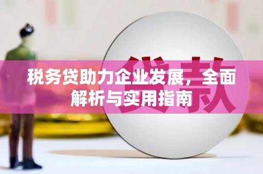 利津税务贷助力企业发展，全面解析与实用指南