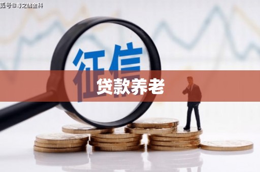 利津贷款养老