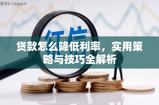利津贷款怎么降低利率，实用策略与技巧全解析