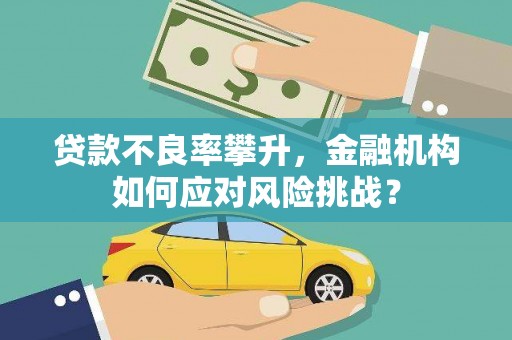 利津贷款不良率攀升，金融机构如何应对风险挑战？