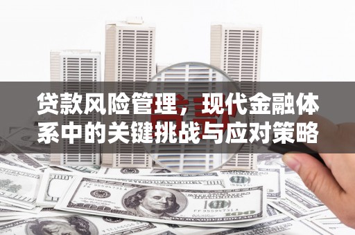 利津贷款风险管理，现代金融体系中的关键挑战与应对策略
