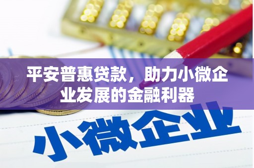 利津平安普惠贷款，助力小微企业发展的金融利器