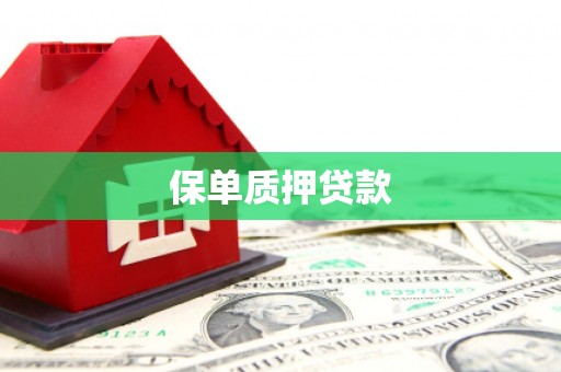 利津保单质押贷款