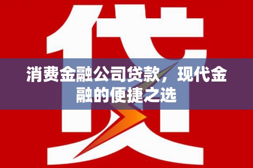 利津消费金融公司贷款，现代金融的便捷之选