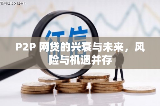 利津P2P 网贷的兴衰与未来，风险与机遇并存