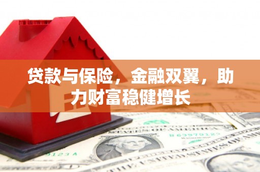 利津贷款与保险，金融双翼，助力财富稳健增长