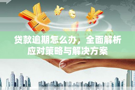 利津贷款逾期怎么办，全面解析应对策略与解决方案