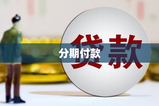 利津分期付款
