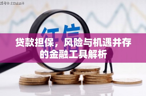 利津贷款担保，风险与机遇并存的金融工具解析