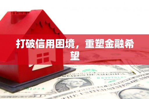 利津打破信用困境，重塑金融希望