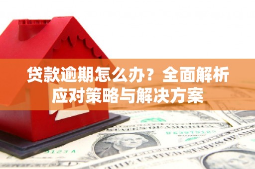 利津贷款逾期怎么办？全面解析应对策略与解决方案