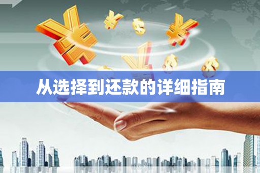 利津从选择到还款的详细指南