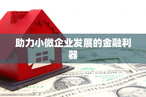利津助力小微企业发展的金融利器