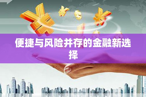利津便捷与风险并存的金融新选择