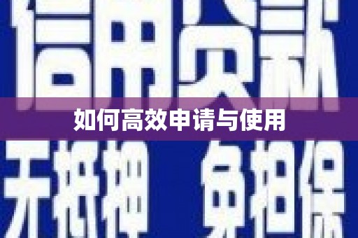 利津如何高效申请与使用