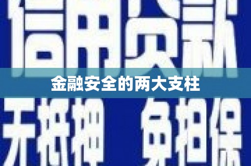 利津金融安全的两大支柱