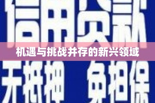 利津机遇与挑战并存的新兴领域