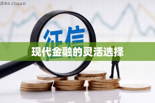 利津现代金融的灵活选择