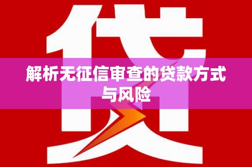 利津解析无征信审查的贷款方式与风险
